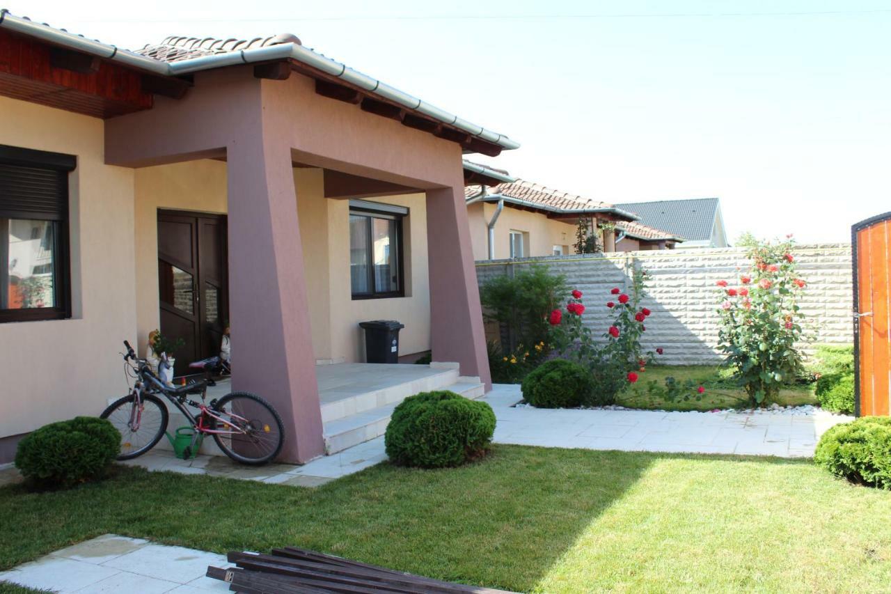 Sia & Sophie 'S House Villa Sîntandrei Exterior photo