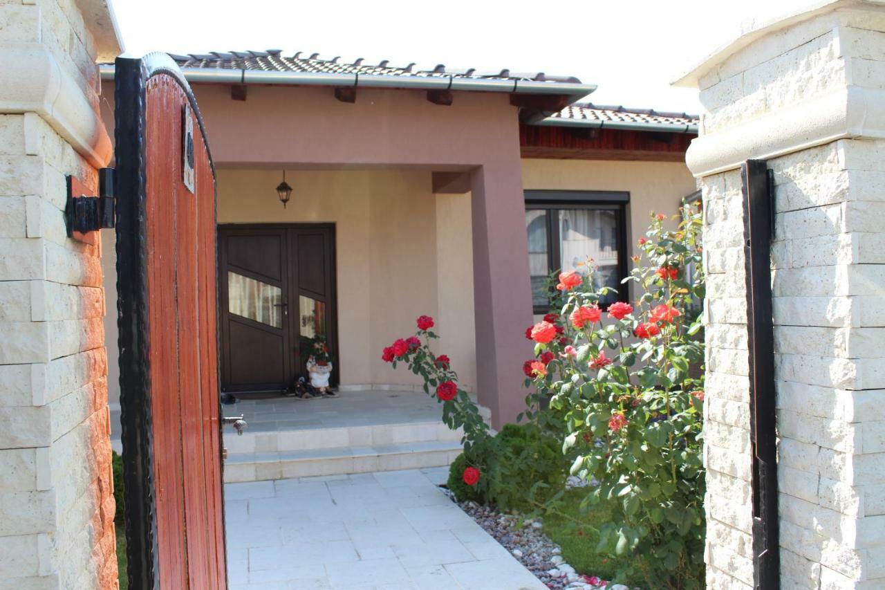 Sia & Sophie 'S House Villa Sîntandrei Exterior photo