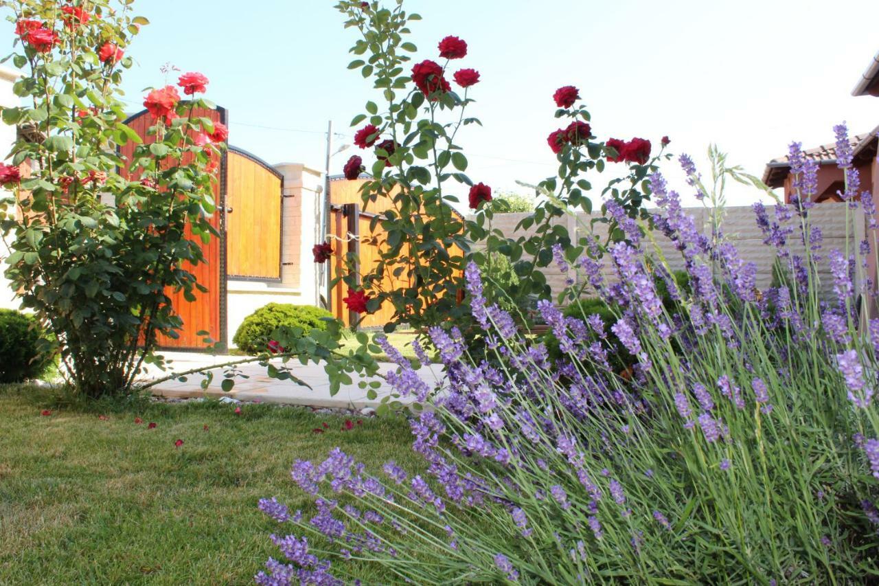 Sia & Sophie 'S House Villa Sîntandrei Exterior photo